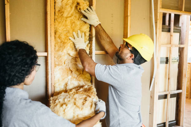 Best Energy-efficient Insulation  in Point Marion, PA